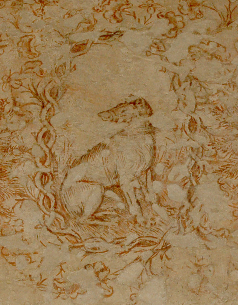 Un museo al mese - Mantova, Palazzo Ducale - Cane