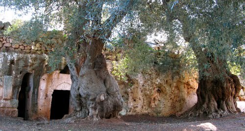 La NOSTRA Settimana della cultura - Foto Puglia Chiesa rupestre