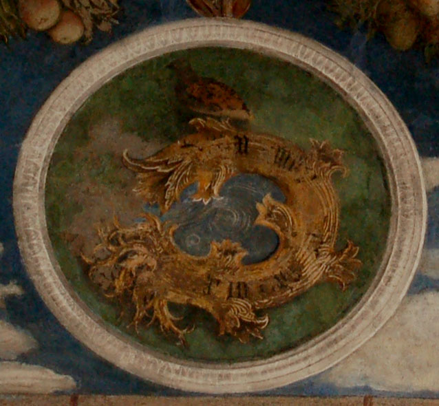 Un museo al mese - Mantova, Palazzo Ducale - Tortora 1 