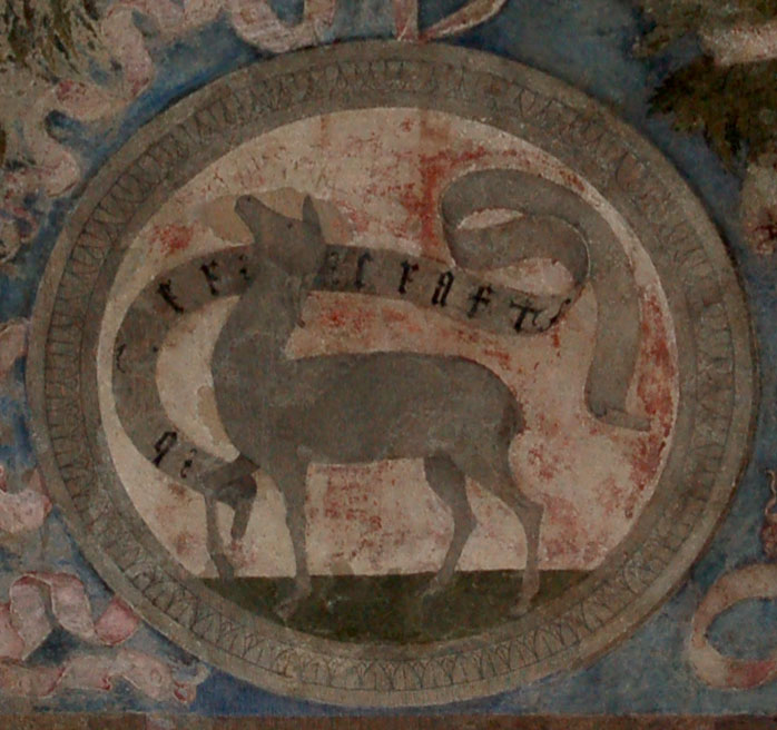 Un museo al mese - Mantova, Palazzo Ducale - Cervetta 2
