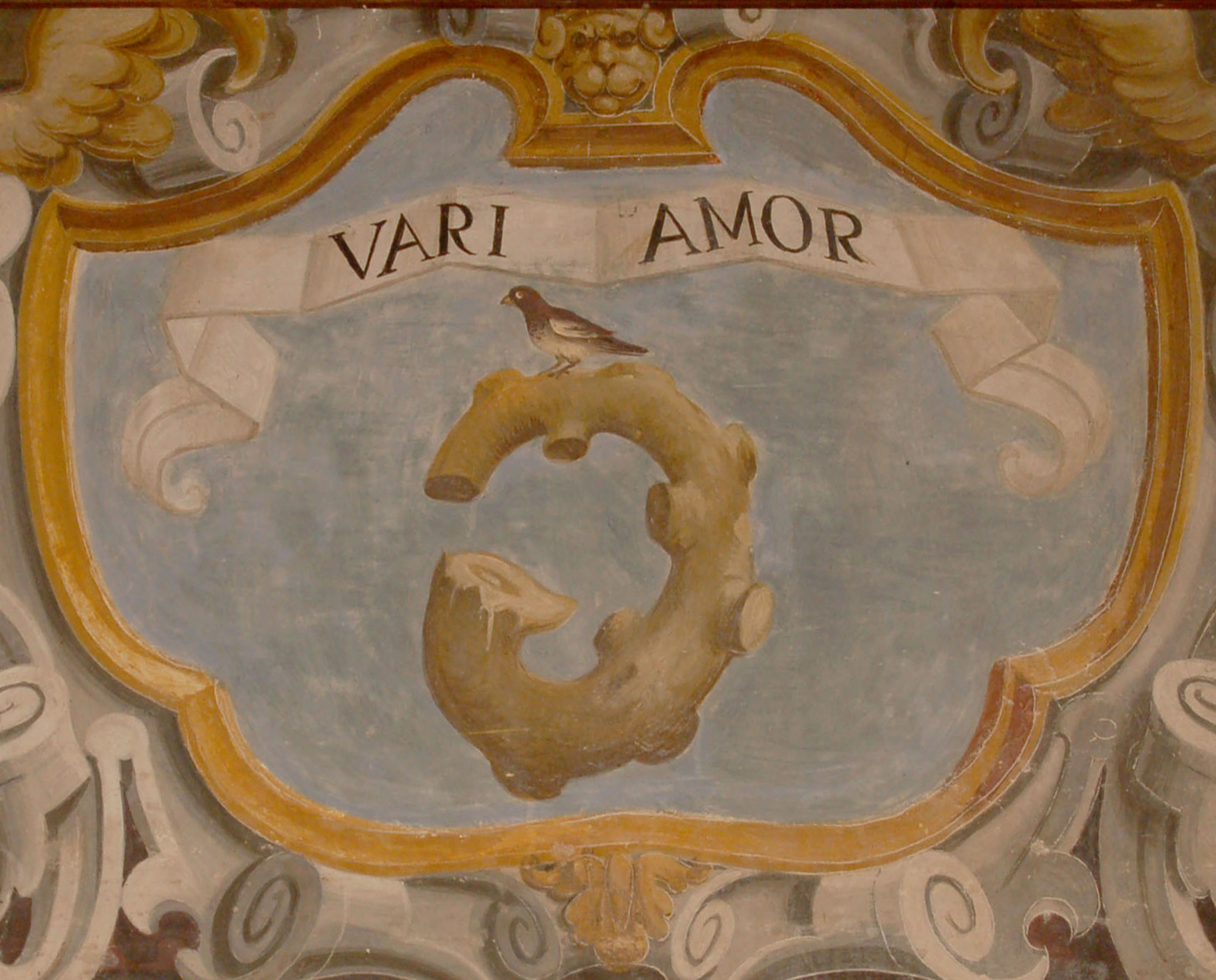 Un museo al mese - Mantova, Palazzo Ducale - Tortora